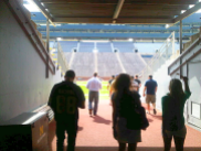 Walking out to the field