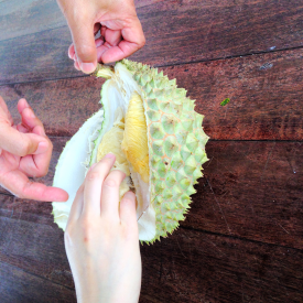 Inside the durian