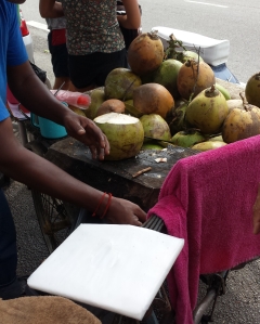 Coconut stand